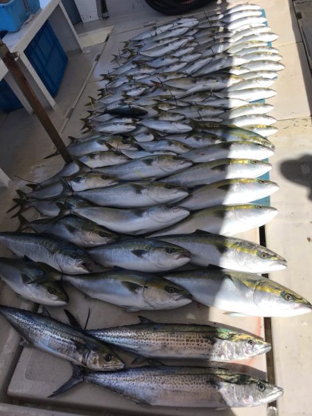 大雄丸 釣果