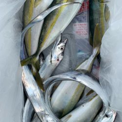 みやけ丸 釣果