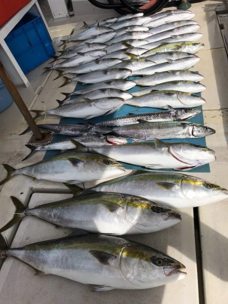 大雄丸 釣果