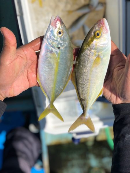 丸万釣船 釣果