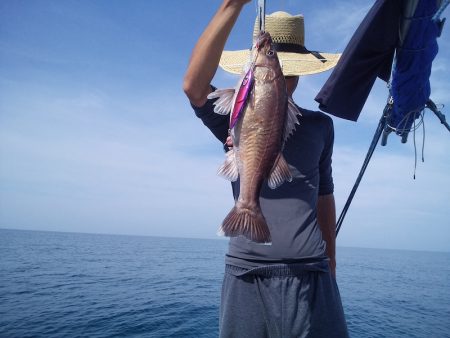 ひな丸 釣果