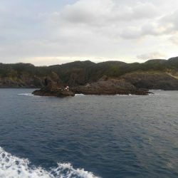 宮島丸 釣果