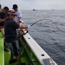 ゆたか丸 釣果