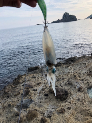 竹野浜ランガン エギング