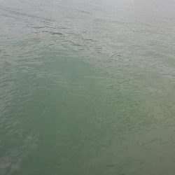 台風後の宮津湾