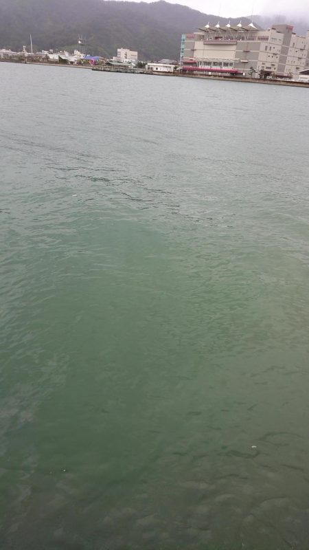 台風後の宮津湾
