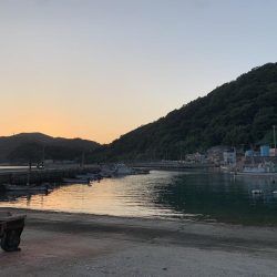 今年初の紀州釣り〜