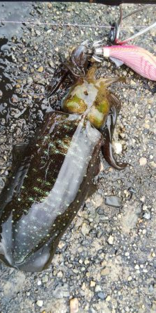 雨の合間に