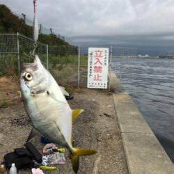 これがメッキか