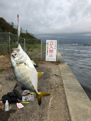 これがメッキか