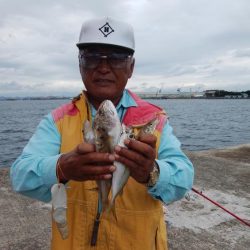 雨の播磨新島で爆釣