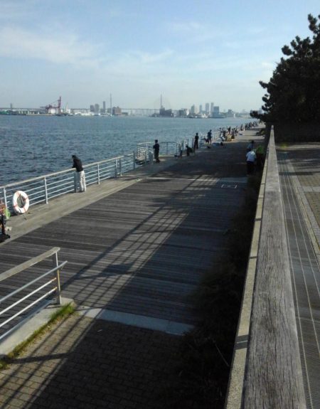 土曜日のコスモ釣果