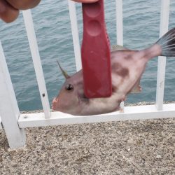 小物釣り