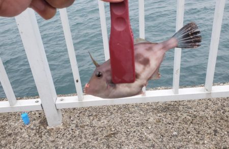 小物釣り