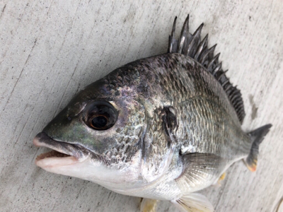 今朝は朝から冷える〜