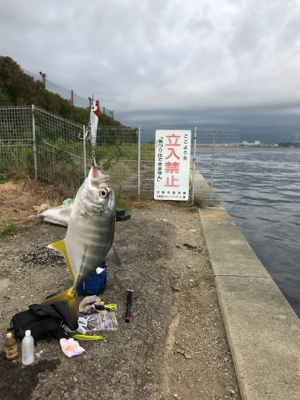 これがメッキか