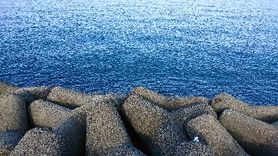 雨の後