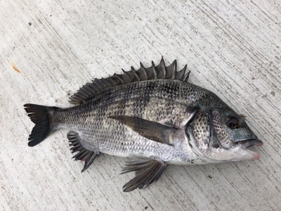 今朝は朝から冷える〜