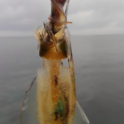 雨にも負けず