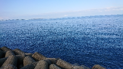 雨の後