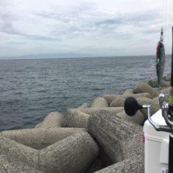 台風前で高活性？