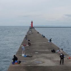 潮が動かないとキスは釣れない播磨新島