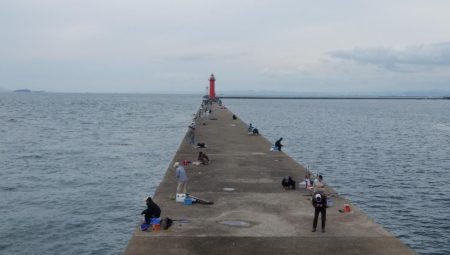 潮が動かないとキスは釣れない播磨新島