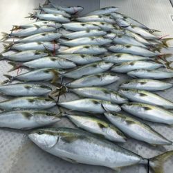 ミタチ丸 釣果