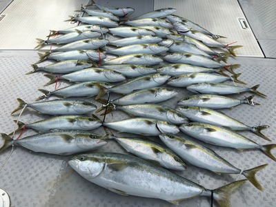 ミタチ丸 釣果