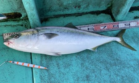 広進丸 釣果