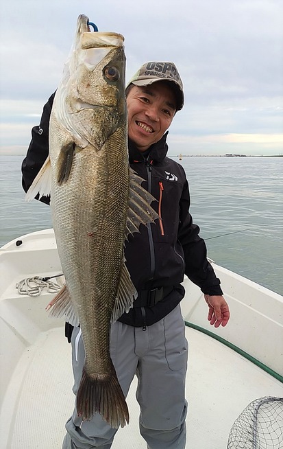 めだか屋 釣果