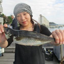 あい川丸 釣果