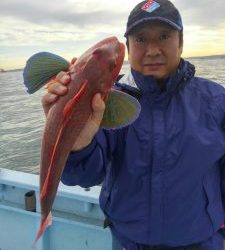 東京湾探釣隊ぼっち 釣果