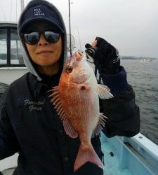 東京湾探釣隊ぼっち 釣果