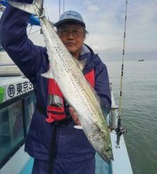 東京湾探釣隊ぼっち 釣果