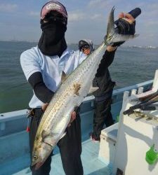 東京湾探釣隊ぼっち 釣果