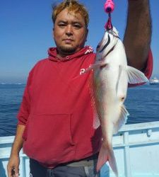 東京湾探釣隊ぼっち 釣果