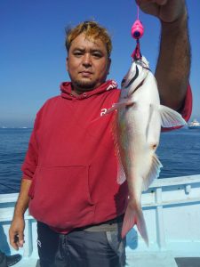 東京湾探釣隊ぼっち 釣果