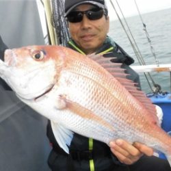 鯛紅丸 釣果