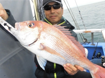 鯛紅丸 釣果