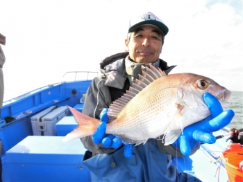 鯛紅丸 釣果