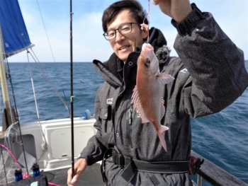 鯛紅丸 釣果