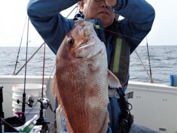 鯛紅丸 釣果