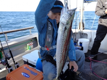 鯛紅丸 釣果