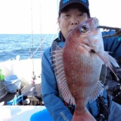 鯛紅丸 釣果