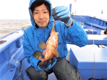 鯛紅丸 釣果