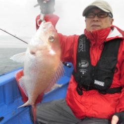 鯛紅丸 釣果