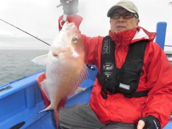 鯛紅丸 釣果