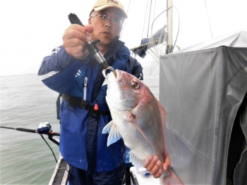 鯛紅丸 釣果