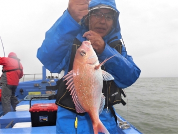 鯛紅丸 釣果